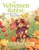 The_velveteen_rabbit__or__How_toys_become_real__BOARD_BOOK_