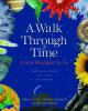 A_walk_through_time