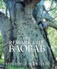 The_remarkable_baobab