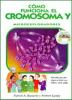 C__mo_funciona_el_cromosoma_y_microexploradores