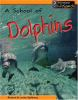 A_school_of_dolphins
