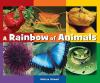 A_rainbow_of_animals