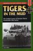 Tigers_in_the_mud