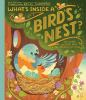 What_s_inside_a_bird_s_nest_