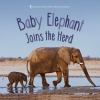 Baby_elephant_joins_the_herd