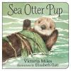 Sea_otter_pup__BOARD_BOOK_