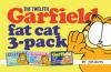 The_twelfth_Garfield_fat_cat_3-pack