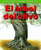 El___rbol_del_olivo__por_dentro_y_por_fuera