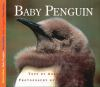 Baby_penguin
