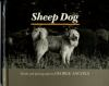 Sheep_Dog