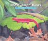About_amphibians