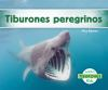 Tiburones_peregrinos