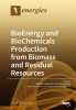 BioEnergy_and_BioChemicals_Production_from_Biomass_and_Residual_Resources