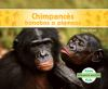 Chimpanc__s_bonobos