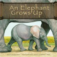 An_elephant_grows_up