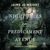 Night_Falls_on_Predicament_Avenue
