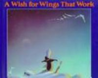 A_wish_for_wings_that_work