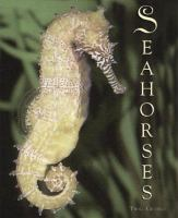 Seahorses__sea_dragons__and_pipefish
