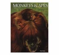 Monkeys___apes