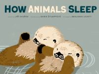 How_animals_sleep
