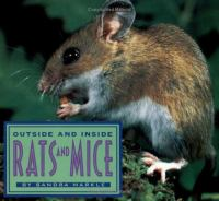 Outside_and_inside_rats_and_mice