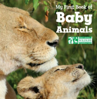 My_First_Book_of_Baby_Animals__National_Wildlife_Federation_