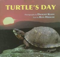 Turtle_s_day