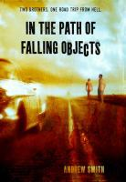 In_the_path_of_falling_objects