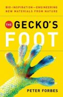 The_gecko_s_foot