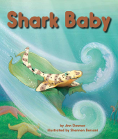 Shark_Baby