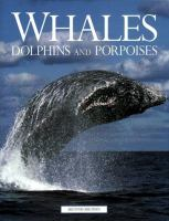 Whales__dolphins_and_porpoises