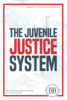 The_Juvenile_Justice_System