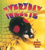 Everyday_insects