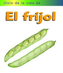 Ciclo_de_vida_de_el_frijol