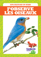 J___observe_les_oiseaux__I_See_Birds_