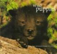 Wild_puppies
