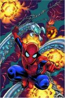 Spider-Man___The_other