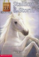 Stallion_in_the_storm