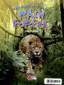 Can_you_find_it_in_a_rain_forest