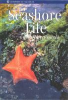 Seashore_life_on_rocky_coasts