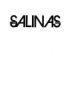 The_Salinas_Valley