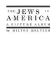 The_Jews_in_America