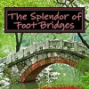 The_splendor_of_foot_bridges
