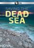 Saving_the_Dead_Sea